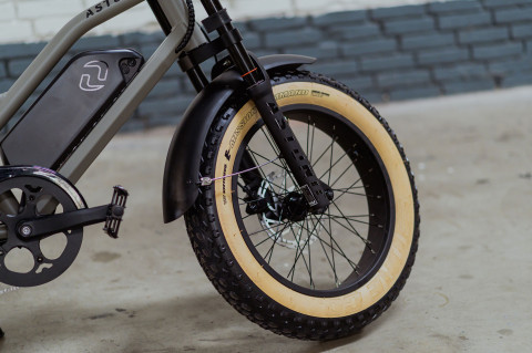 E Fatbike van beste kwaliteit (10)